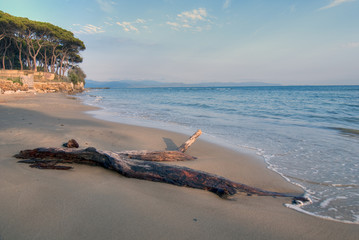 Tuscan Coast, Torre Mozza, Fall 2008