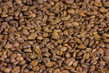 coffee beans background
