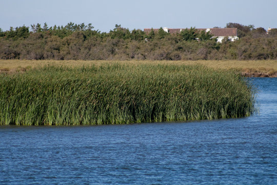 foce del Rodano - Camargue