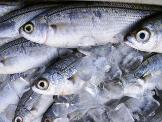 Fischmarkt