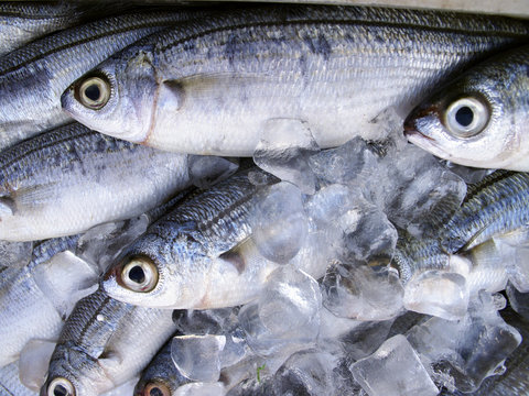 Fischmarkt