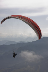 paraglider