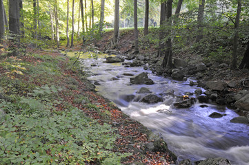 Ilsetal