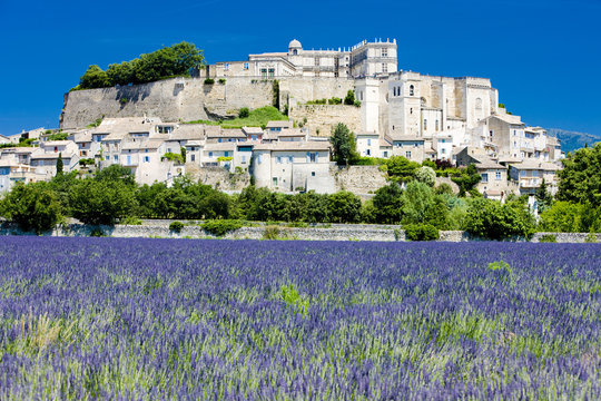 Grignan with lavender field, Drome, Rhone-Alpes, France