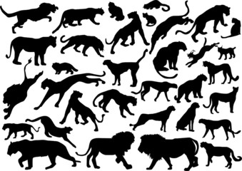 thirty three Felidae silhouettes