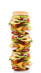 paninissimo