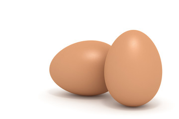 Two chicken eggs