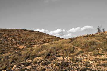 Vista desde atalaya