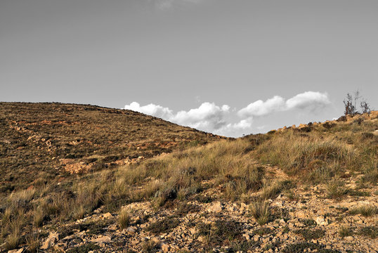 Vista desde atalaya