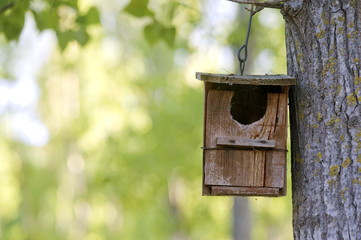 Wooden birdhouse