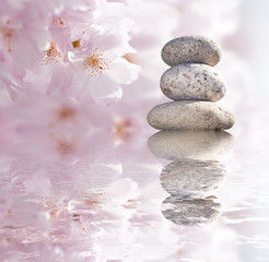 Fototapeta na wymiar Zen - Stones - Flowers