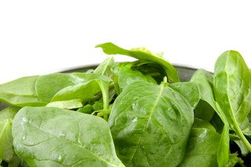 Colander with fresh spinach over white background