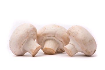 Fresh mushrooms isolated on a white background