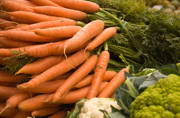 Fresh carrots