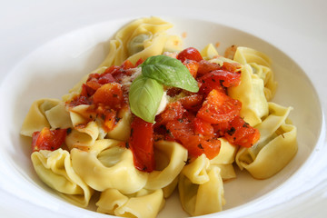 Ricotta-Tortellini mit Tomatensauce und Basilikum