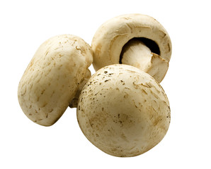 Mushrooms