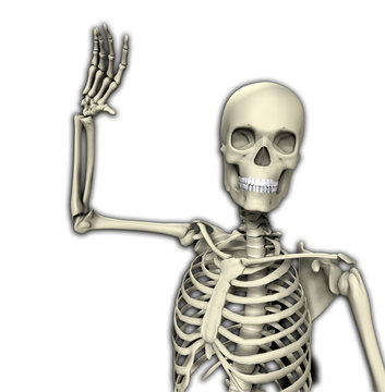 Skeleton Waving