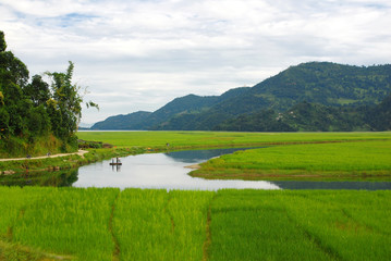 Fototapeta na wymiar Farmers in the water reflection,fewa lake,nepal