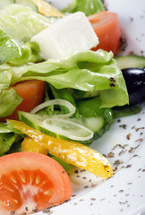 Caesar salad in a white plate.