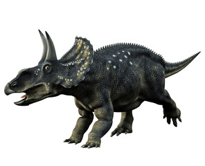 Horned Dinosaur - 17850757
