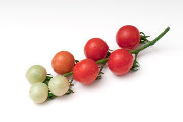cherry tomato