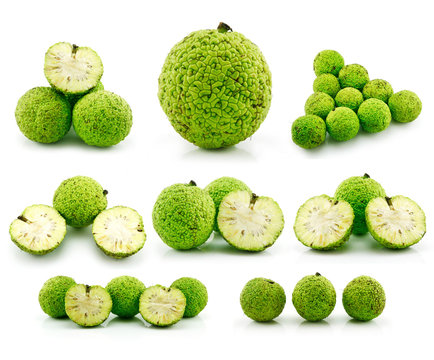 Set of Osage Oranges (Maclura) Isolated on White