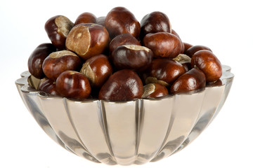 chestnuts