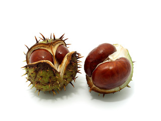 Two Chestnuts