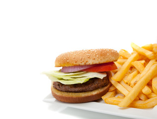 Hamburger and fries on a white plate