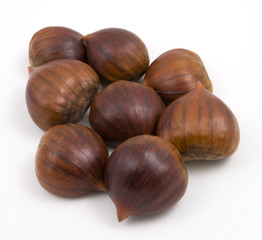 horse chestnuts