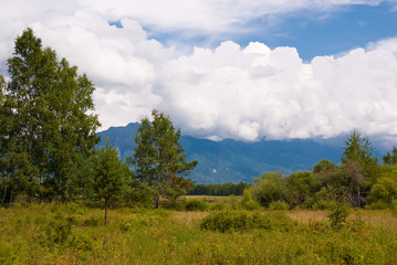 Meadow on the foothills of East Sayan.