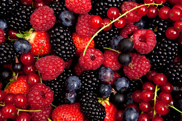 fresh berry mix close