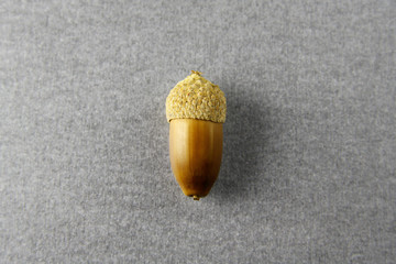 bellota