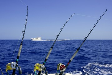 Mer et ciel bleus lors d& 39 une journée de pêche au thon au gros