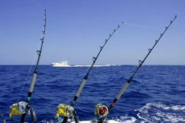 Sierkussen Blauwe zee en lucht tijdens een dag om tonijn op groot wild te vissen © lunamarina