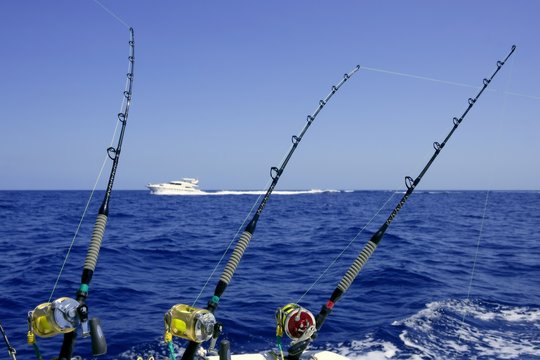 Marlin Fishing Rod Images – Browse 3,483 Stock Photos, Vectors