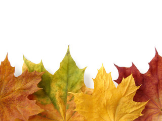 autumnal design element