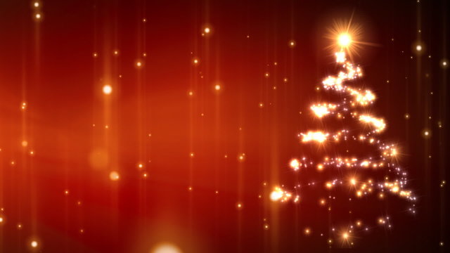 weihnachtsbaum