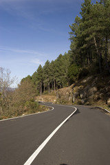 Fototapeta premium Mountain road with many curves