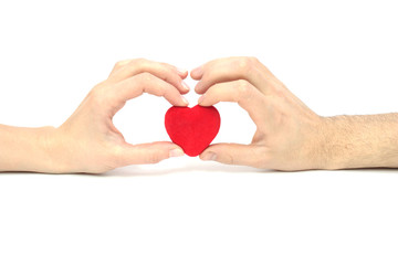 Obraz premium The Heart in hands.