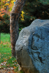 large lovers rock in japanese garden