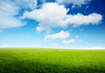 Fototapeta na wymiar spring field of grass and perfect sky