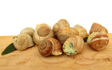Snail escargot prapared as food