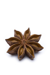 Sternanis