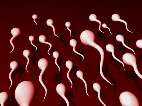 Sperm