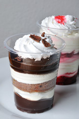 Chocolate and fruit dessert