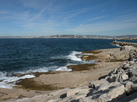 paysage marin