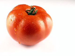 Tomato