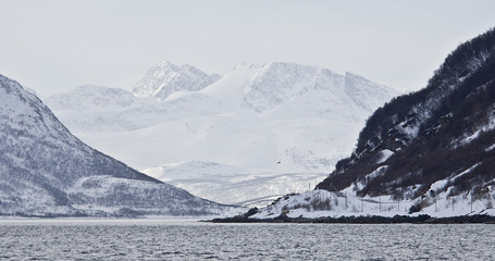 In den Fjorden der Lyngen Alps