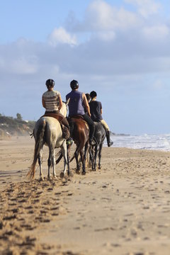 ausreiten am strand